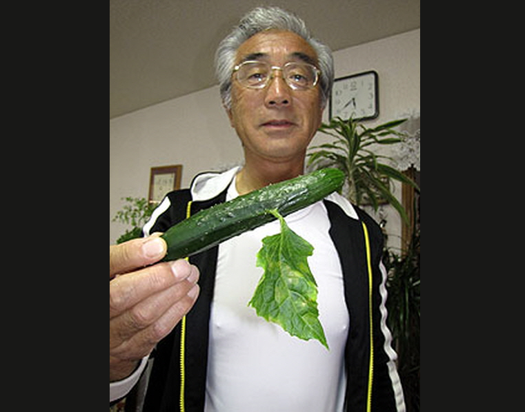 Jordbavning, Japan, Tsunami